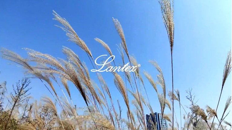 视频标题 视频标题