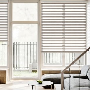 Circulatory System5 Circulatory System5