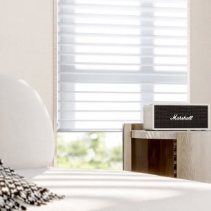 Circulatory System4 Circulatory System4