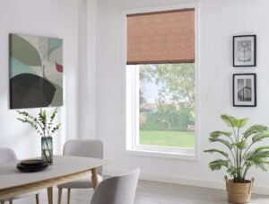 Cellular (Honeycomb) Double Shades