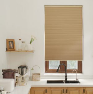 Cellular (Honeycomb) Single Shades